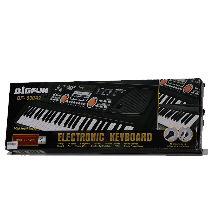 ارگ بیگ فان